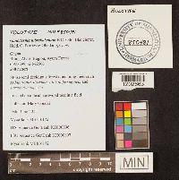 Image Associated With the Occurrence