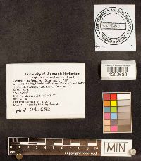 Media resource of Trametes pubescens