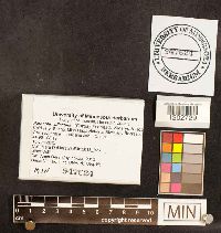 Media resource of Coprinus plicatilis