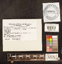 thumbnail image of current specimen