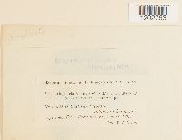 Image Associated With the Occurrence