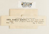 Image Associated With the Occurrence