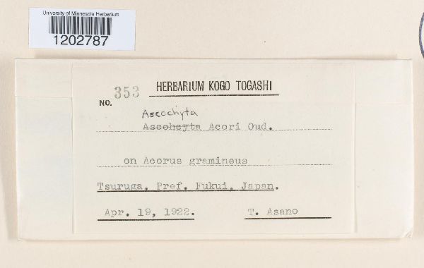 Ascochyta acori image