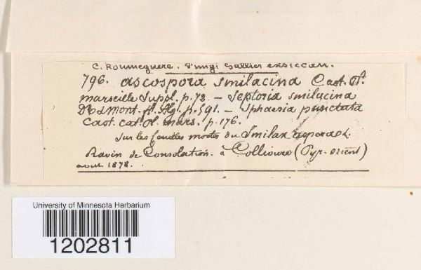 Septoria smilacina image