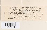 Image Associated With the Occurrence