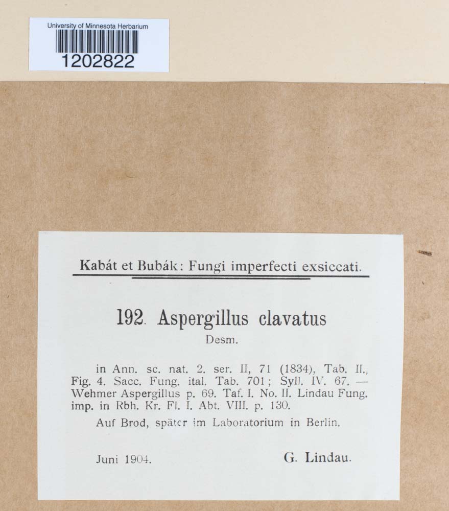 Aspergillus clavatus image