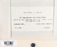 Image Associated With the Occurrence