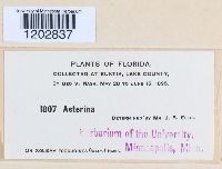 Image Associated With the Occurrence