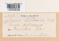 Image Associated With the Occurrence