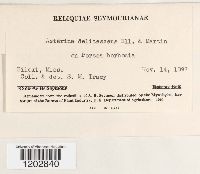 Image Associated With the Occurrence