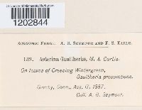 Image Associated With the Occurrence