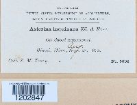 Image Associated With the Occurrence