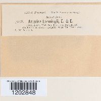 Image Associated With the Occurrence