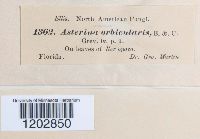 Image Associated With the Occurrence