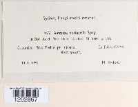 Image Associated With the Occurrence