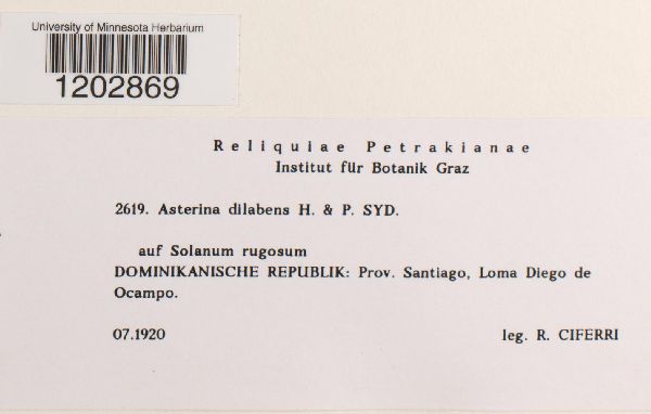 Asterina dilabens image