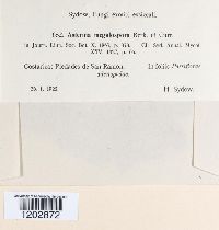 Image Associated With the Occurrence