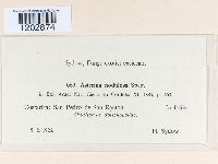 Image Associated With the Occurrence