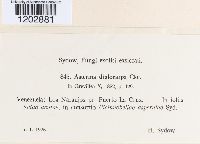 Image Associated With the Occurrence