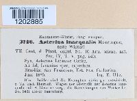 Image Associated With the Occurrence