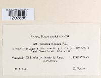 Image Associated With the Occurrence