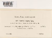 Image Associated With the Occurrence