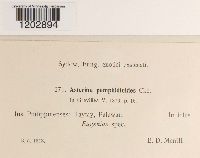 Image Associated With the Occurrence