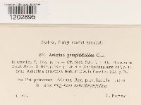 Image Associated With the Occurrence