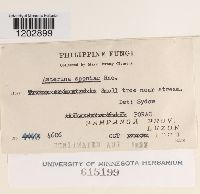 Image Associated With the Occurrence