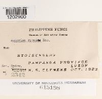 Image Associated With the Occurrence