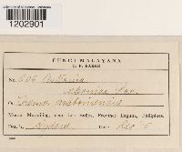 Image Associated With the Occurrence