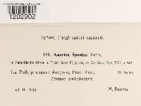 Image Associated With the Occurrence