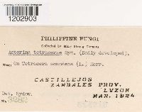 Image Associated With the Occurrence