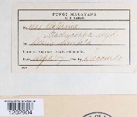 Image Associated With the Occurrence