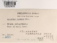 Image Associated With the Occurrence