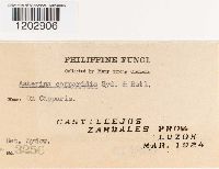 Image Associated With the Occurrence