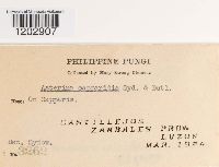 Image Associated With the Occurrence