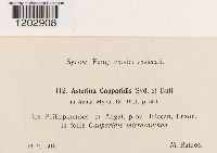 Image Associated With the Occurrence