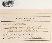 Image Associated With the Occurrence