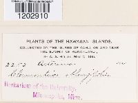 Image Associated With the Occurrence