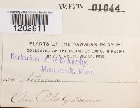 Image Associated With the Occurrence