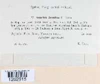 Image Associated With the Occurrence