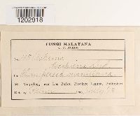 Image Associated With the Occurrence