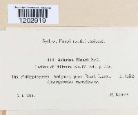 Image Associated With the Occurrence