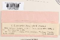 Image Associated With the Occurrence