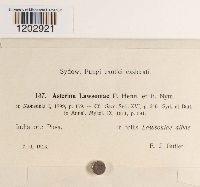 Image Associated With the Occurrence