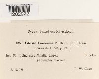 Image Associated With the Occurrence