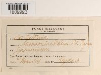 Image Associated With the Occurrence