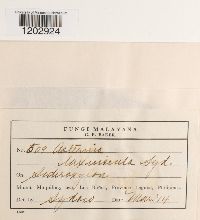 Image Associated With the Occurrence