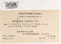 Image Associated With the Occurrence